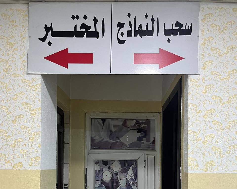 الصورة 7 من 10