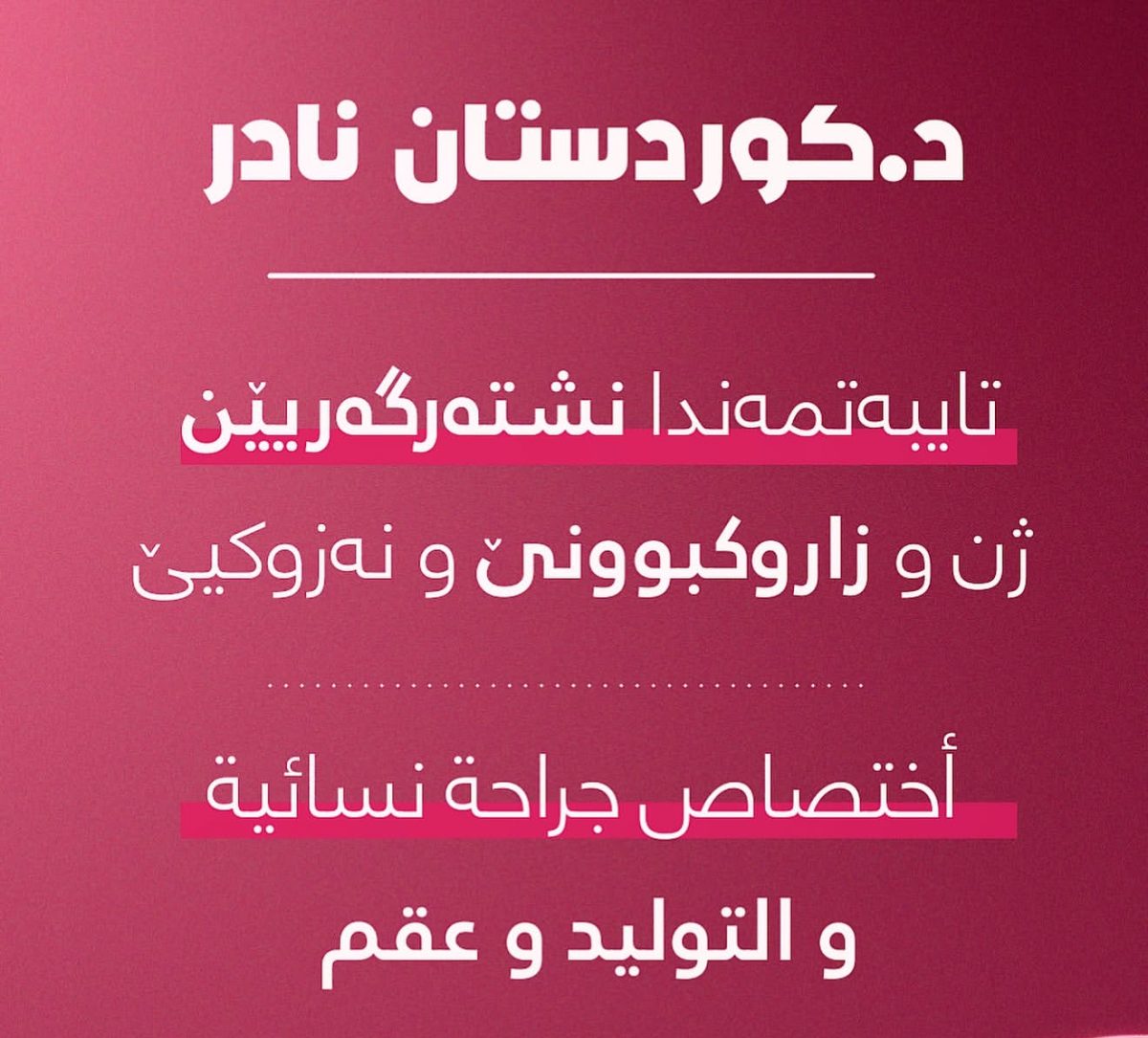 الصورة 2 من 3